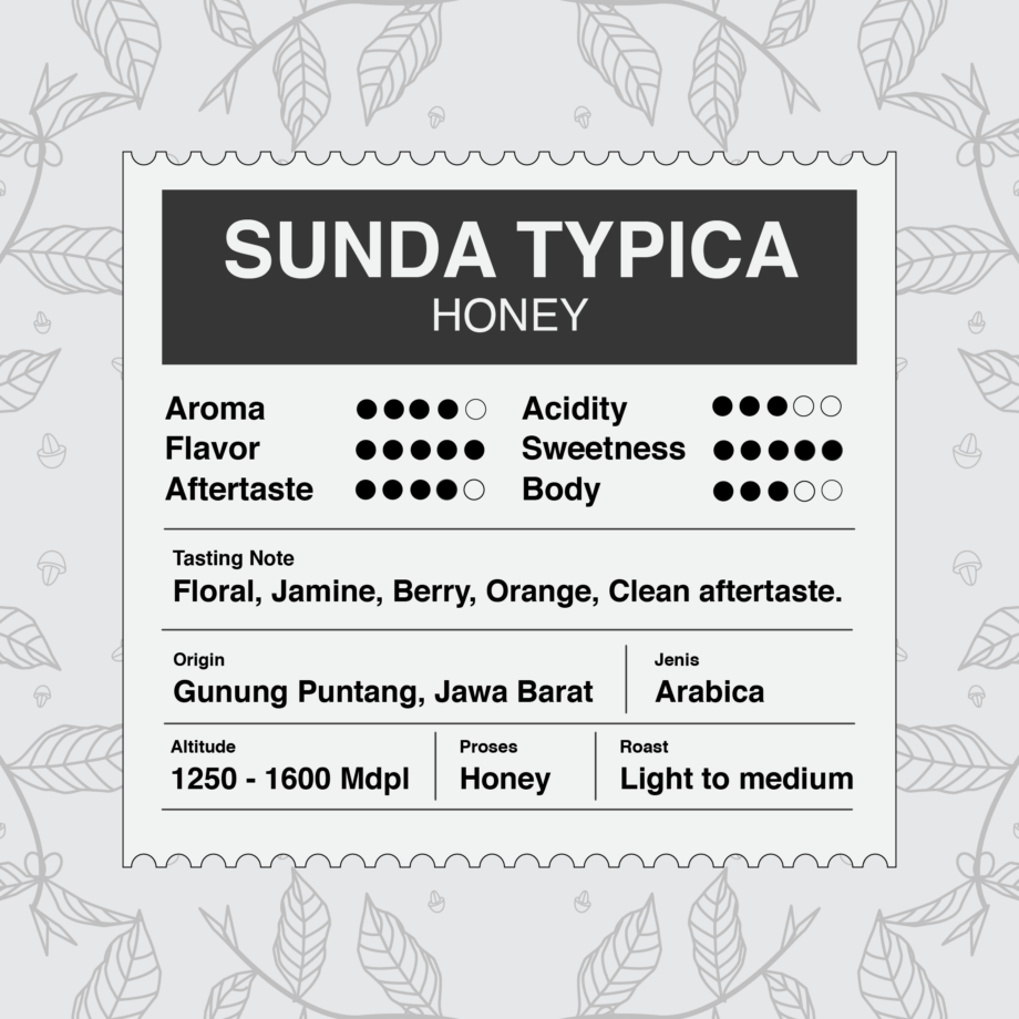 Typica Honey 002 Arabica Sunda Typica Honey | Single Varietal (Limited)